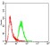 FGFR3 Primary Antibody MP30777 [M2H10B4]