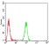 EMD Primary Antibody MP30790 [M8F5G2]
