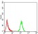 EMD Primary Antibody MP30790 [M8F5G2]