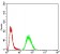 CSF3 Primary Antibody MP30792 [M8G5F7]