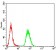 CD168 Primary Antibody MP30807 [M2F2C9]