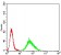 CIDEC Primary Antibody MP30818 [M7C12F11]
