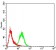 CBX3 Primary Antibody MP30823 [M6D1C4]