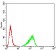RND3 Primary Antibody MP30838 [M5C7E8]