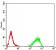 DNMT3B Primary Antibody MP30854 [M4D1A2E5]
