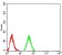 DNMT3B Primary Antibody MP30855 [M7E5E9C1]