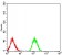PLCG1 Primary Antibody MP30861 [M3C2D11]