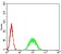 ATF3 Primary Antibody MP30864 [M7F1B10]