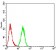 HDAC4 Primary Antibody MP30871 [M5E4A5]