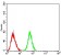 PRDM1 Primary Antibody MP30874 [M2F1B6]
