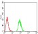 SK2 Primary Antibody MP30887 [M3C8D3]
