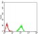 HIST2H4A(20Me3) Primary Antibody MP30889 [M7A2A7]