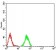 HIST2H3C(27Ac) Primary Antibody MP30900 [M2D7B3]