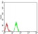 HIST2H3C(27Ac) Primary Antibody MP30901 [M6E7A9]