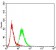 FBXL10 Primary Antibody MP30916 [M3B7D11]