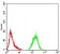 ATG13 Primary Antibody MP30927 [M3E4C8]