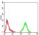 phospho-Eralpha(Tyr-537) Primary Antibody MP30930 [M3C6C6]