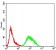 PRDM4 Primary Antibody MP30934 [M4B6E8]