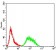 PRDM4 Primary Antibody MP30935 [M4B6G1]