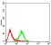 PTPN6 Primary Antibody MP30938 [M2E9E4]