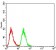 phospho-NLRC4(Ser-533) Primary Antibody MP30944 [M9A6A1]