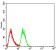 phospho-NLRC4(Ser-533) Primary Antibody MP30944 [M9A6A1]