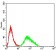 SH3GL1 Primary Antibody MP30945 [M2A9H4]