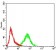 KPNA2 Primary Antibody MP30947 [M1E8B7]