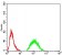 JARID2 Primary Antibody MP30948 [M7H1B3]