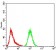 GFPT1 Primary Antibody MP30953 [M1F1A4]