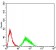 KDM6A Primary Antibody MP30955 [M5C2A9]
