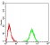 TH Primary Antibody MP30957 [M1B8D2]