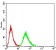 RF1 Primary Antibody MP30965 [M4F9H12]