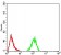 RAD50 Primary Antibody MP30977 [M3D2G10]