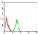 SERPINA1 Primary Antibody MP30982 [M5D1D2]