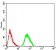 CFHR5 Primary Antibody MP30986 [M3A10A5]