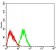 DNMT3L Primary Antibody MP30989 [M2D10H11]