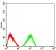 TRAF2 Primary Antibody MP31005 [M5C2C3]