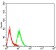 DHX58 Primary Antibody MP31012 [M3E11F1]