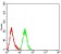 ARF1 Primary Antibody MP31017 [M8D8E9]