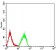 PLD2 Primary Antibody MP31024 [M7E4D9]