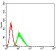 CD274 Primary Antibody MP31027 [M7D2A10]