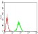 PGRMC1 Primary Antibody MP31028 [M6F9A1]