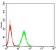 PGRMC1 Primary Antibody MP31029 [M7G11G8]