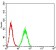 PTPN14 Primary Antibody MP31048 [M2B3H7]