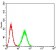 PTPN14 Primary Antibody MP31049 [M2C12E3]
