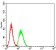C3C Primary Antibody MP31055 [M4C6A8]