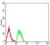 CD2 Primary Antibody MP31058 [M3D1B4]