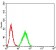 DDX1 Primary Antibody MP31065 [M3E5B2]
