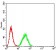DDX1 Primary Antibody MP31066 [M3E5E2]